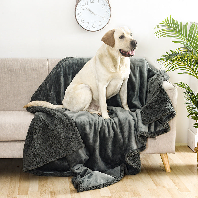 Double-Sided Pet Blanket