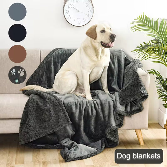 Double-Sided Pet Blanket